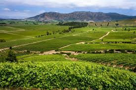 Santa Cruz Chile Wine Tours